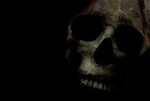 Black Skull Wallpapers - 4k, HD Black Skull Backgrounds on W
