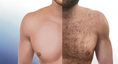 Warum haben Männer Brusthaare? Coopzeitung