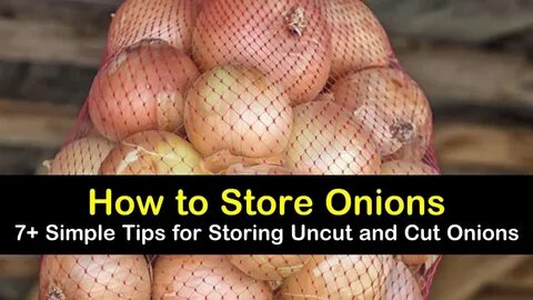 store onion.