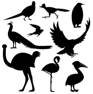 Various Silhouettes Of Roadrunner 128992 Vector Art at Vecte