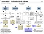 Pathophysiology of Menopause Organ System Changes:- ... Grep