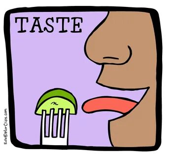 Taste Clip Art, 5 senses clip art