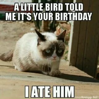 Grumpy cat Grumpy cat meme, Grumpy cat birthday, Funny grump