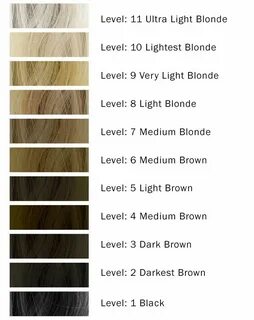 Brown Argan Oil Hair Color Chart - Inspiration Guide