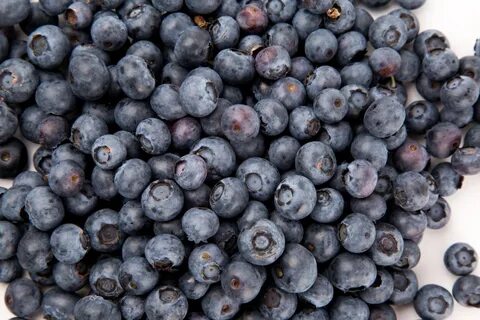 Background,berry,blueberry,close up,delicious - free image f