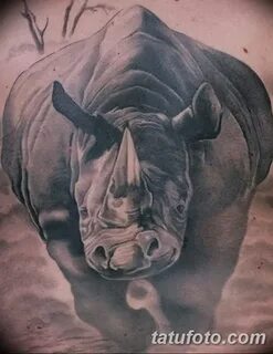 фото тату носорог от 29.09.2017 № 046 - rhino tattoo - tatuf