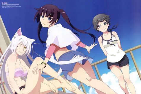 Zoku Owarimonogatari Image #2445580 - Zerochan Anime Image B