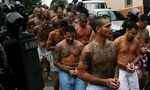 99 MS-13 Gang Members Arrested - All Entered US as 'Unaccomp