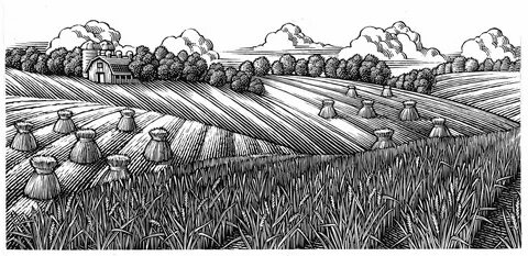 Line art, line engraving style illustration of rolling farm 