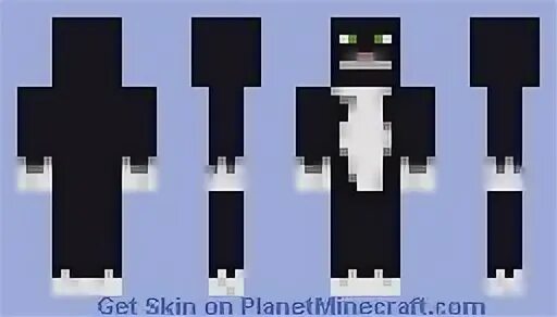 Skin Request Black Cat Minecraft Skin