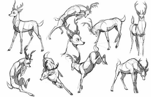 Malin Falch arts Animal drawings, Deer drawing, Cartoon draw