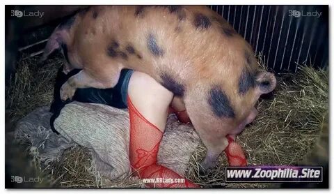 31 - Wild Boar Fucks A Girl - Sex With Pigs - RapeXXX