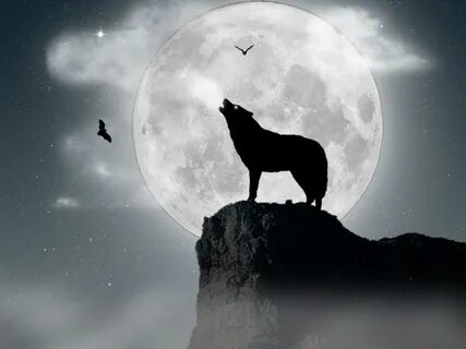 Howling Wolf Wallpapers HD - Wallpaper Cave