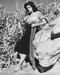 Actress Jane Russell Photograph by Bruce Bailey Fine Art Ame