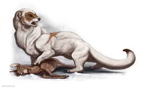 Гигантская куница Giant weasel / Бестиарий D&D 5 / Monster m
