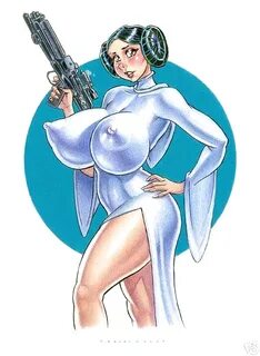 Erotic STARWARS - Princess Leia Organa 4 - Photo #46