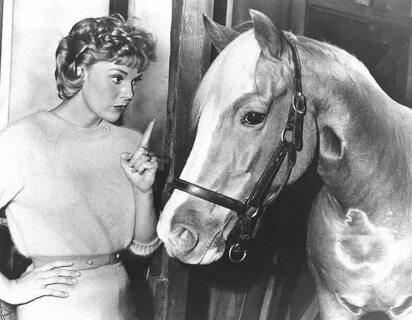 File:Connie Hines Mister Ed.JPG - Wikimedia Commons