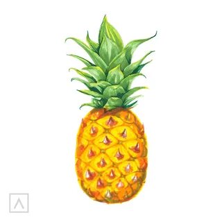 Pineapple Easy Realistic Fruit Drawing - Fip Fop