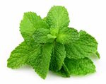 Cooking With Orange Mint: The Dos And Don’ts - SPICEography