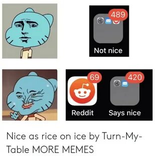 489 Not Nice 420 69 Reddit Says Nice Nice as Rice on Ice by 