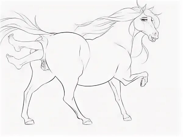 g4 :: Graceful Sally (Feral Horse AV) by karps