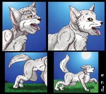 Submission -Old Wolf TF- by TimidTabby - Transfur