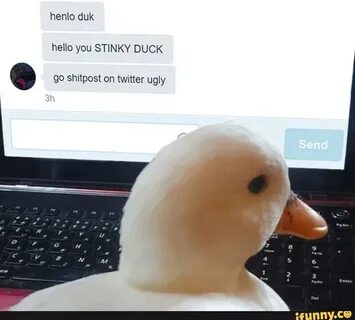 Henlo duk hello you STINKY DUCK . go shitpost on twitter ugl