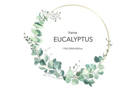 Watercolor Eucalyptus Wreath Clipart. Greenery Wreath Weddin