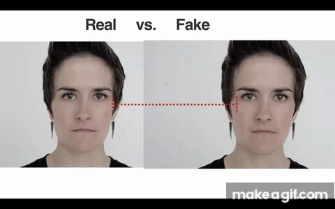 Real vs Fake Happiness on Make a GIF