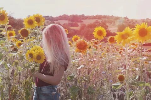 Aesthetic Girl With Sunflower Related Keywords & Suggestions