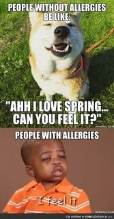 And the allergy season is upon us - FunSubstance Allergies f