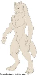 Drawn wolfman buff body - Pencil and in color drawn wolfman 