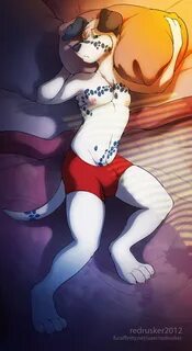 The Big ImageBoard (TBIB) - bulge canine clothing dalmatian 