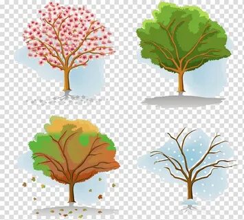 Four trees , Tree Season Autumn, Four Seasons Tree children 
