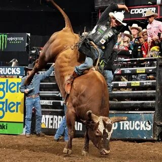 PBR- - Bushwacker & J.B. Mauney Bull riding, Pbr bull riders