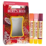 Burt's Bees Lip Shimmer, Champagne (Pack of 4) - Onserpentin