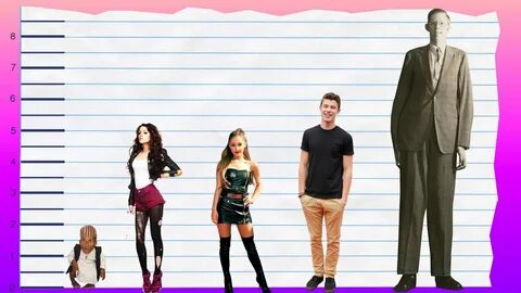 How Tall Is Cher Lloyd? - Height Comparison! - YouTube