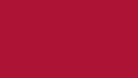 Pantone 19-1761 Tpx Tango Red Color Hex color Code #ad1236 i