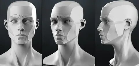 Planes of the head - Female 3D model Planes of the face, Ana