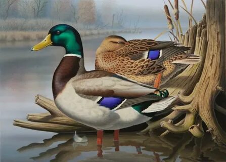 Mallard paintings