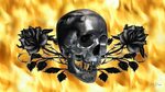 Skull And Roses Background Related Keywords & Suggestions - 
