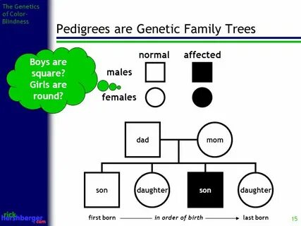 1 The Genetics of Color- Blindness Dr. Rick Hershberger - pp
