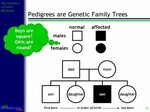 1 The Genetics of Color- Blindness Dr. Rick Hershberger - pp