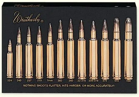 Lucite Cartridge Display Accessories Products Weatherby.com 
