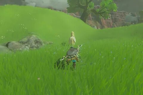 Руководство по Zelda Breath of the Wild: все, что вам нужно 