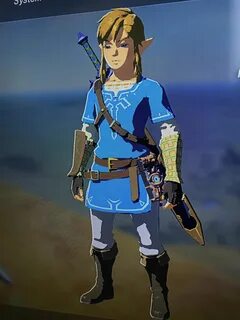 Link Champion Tunic BOTW Breath of the wild, Legend of zelda