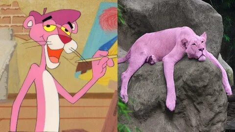 Pink Panther And Pals Characters In Real Life All Characters