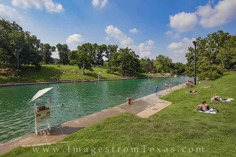 An Afternoon at Barton Springs I Prints Art & Collectibles p