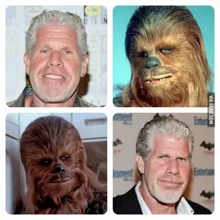 Ron Perlman is shaved Chewbacca - 9GAG