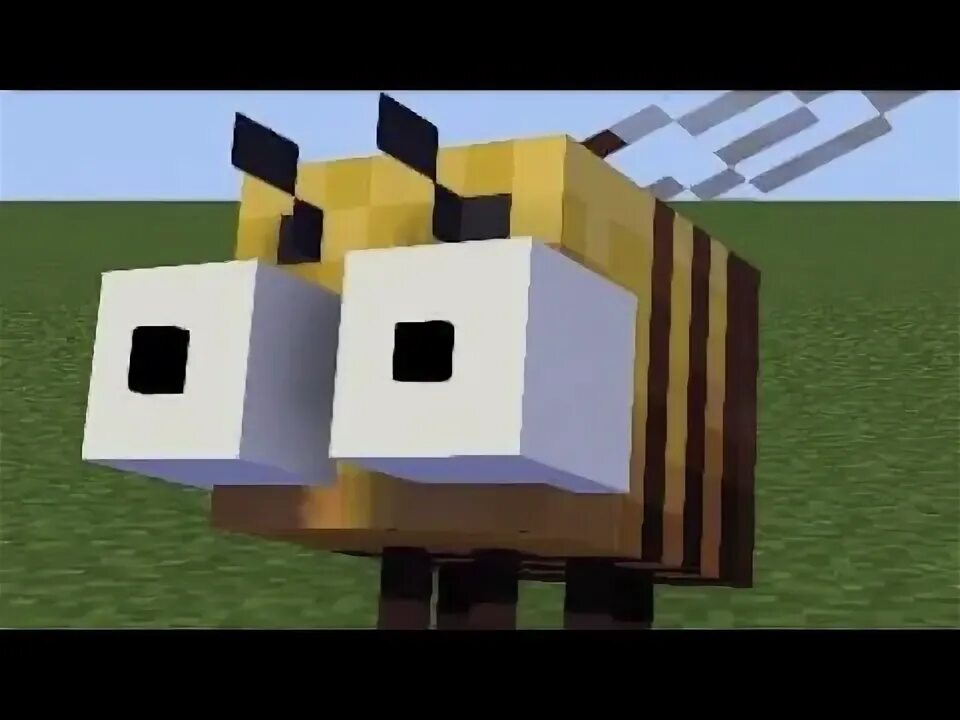 FRICK DEES BEES - YouTube